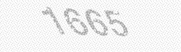 Visual security code — type the characters shown in the image