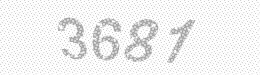 Visual security code — type the characters shown in the image